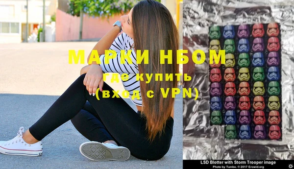 индика Абинск
