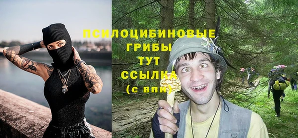 экстази Алексин