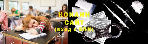индика Абинск