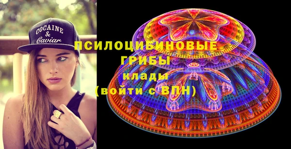 индика Абинск