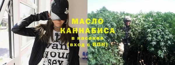 индика Абинск