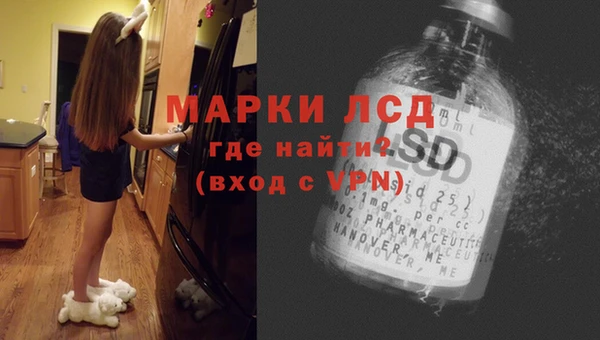 индика Абинск