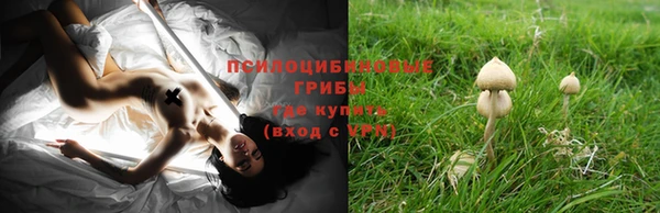дживик Абаза