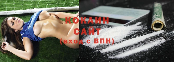 дживик Абаза