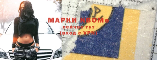 индика Абинск