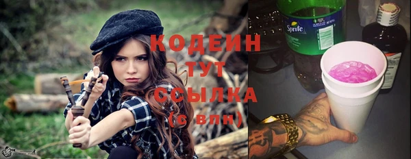 индика Абинск