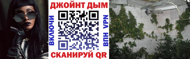 как найти   Тольятти  кракен вход  даркнет как зайти  Бошки марихуана ГИДРОПОН 